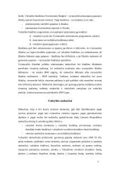 Fiskalinė (mokesčių) politika Lietuvoje 5 puslapis