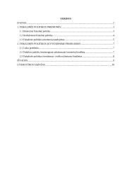 Fiskalinė politika ir jos įgyvendinimo problemos 2 puslapis