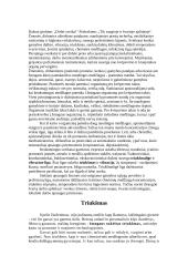 Fizinė tarša 2 puslapis