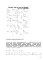 Fizinio aktyvumo poveikis sąnariams 11 puslapis