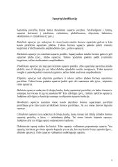 Fizinio aktyvumo poveikis sąnariams 5 puslapis