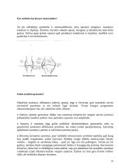 Fizinio aktyvumo poveikis sąnariams 10 puslapis