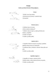 Fizinio krūvio įtaka fizinei ir funkcinei organizmo būklei 12 puslapis
