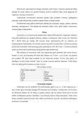 Fizinio krūvio įtaka fizinei ir funkcinei organizmo būklei 4 puslapis