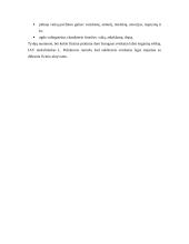 Fizinio aktyvumo įtaka organizmui, formos bei ypatybės 12 puslapis