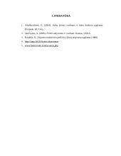 Fizinio aktyvumo įtaka organizmui, formos bei ypatybės 20 puslapis