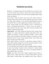 Fizinis aktyvumas ir sveika mityba 2 puslapis