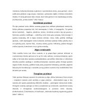 Fizinis aktyvumas ir sveika mityba 13 puslapis