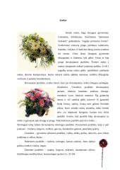 Floristikos pagrindai 2 puslapis