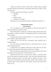 Floristikos pagrindai 5 puslapis