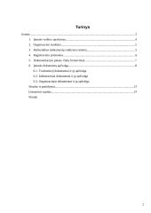 Funkcionuojantys dokumentai ir jų apžvalga įmonėje AB "Albatransa" 2 puslapis