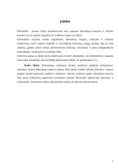 Funkcionuojantys dokumentai ir jų apžvalga įmonėje AB "Albatransa" 3 puslapis