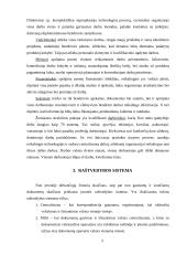 Funkcionuojantys dokumentai ir jų apžvalga UAB "Gerbis" įmonėje 5 puslapis