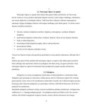 Gaisrinė sauga 5 puslapis