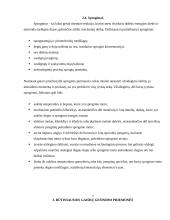 Gaisrinė sauga 6 puslapis