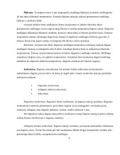 Gaisrinė sauga 8 puslapis