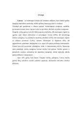 Gaisro gesinimo taktika. Žmonių gelbėjimas gaisro metu 2 puslapis