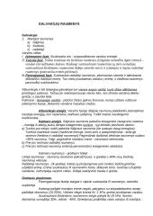 Galvakojai moliuskai 4 puslapis