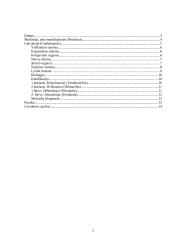 Galvakojai moliuskai: vystymasis, dauginimasis, ekologinė jų reikšmė, virškinimas, nervų ir kraujotakos sistemos 2 puslapis