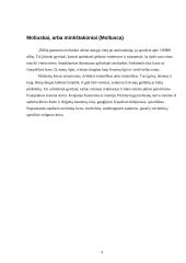 Galvakojai moliuskai: vystymasis, dauginimasis, ekologinė jų reikšmė, virškinimas, nervų ir kraujotakos sistemos 4 puslapis