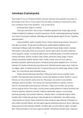 Galvakojai moliuskai: vystymasis, dauginimasis, ekologinė jų reikšmė, virškinimas, nervų ir kraujotakos sistemos 5 puslapis