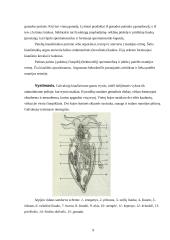 Galvakojai moliuskai: vystymasis, dauginimasis, ekologinė jų reikšmė, virškinimas, nervų ir kraujotakos sistemos 9 puslapis