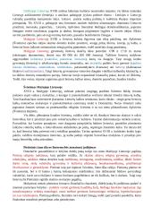 Donelaitis - gyvenimo aprašymas, "Metų" analizė 2 puslapis