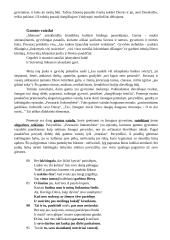 Donelaitis - gyvenimo aprašymas, "Metų" analizė 6 puslapis