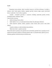 Gamybos elementų taikymas logistikos procese 2 puslapis