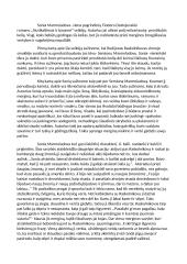 Fiodoras Dostojevskis ,,Nusikaltimas ir bausmė": Sonia Marmeladova 2 puslapis