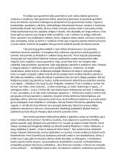 Fiodoras Dostojevskis ,,Nusikaltimas ir bausmė": Sonia Marmeladova 3 puslapis