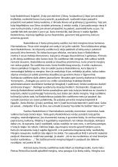 Fiodoras Dostojevskis ,,Nusikaltimas ir bausmė": Sonia Marmeladova 4 puslapis