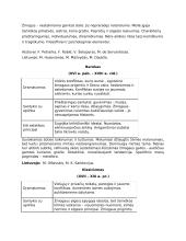 Literatūros epochų bruožai 2 puslapis