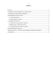 Gamybos kaštai trumpuoju laikotarpiu 2 puslapis