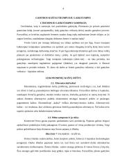 Gamybos kaštai trumpuoju laikotarpiu 4 puslapis