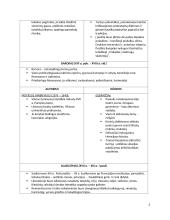 Epochų ir privalomųjų literatūros kūrinių apžvalgos 3 puslapis