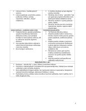 Epochų ir privalomųjų literatūros kūrinių apžvalgos 6 puslapis