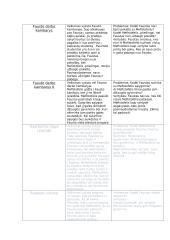 Gėtės "Fausto" aprašymas 2 puslapis