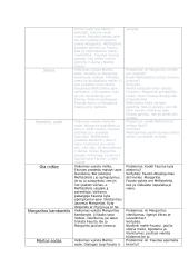 Gėtės "Fausto" aprašymas 4 puslapis