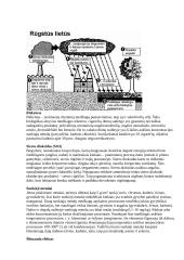 Gamtos apsauga 18 puslapis