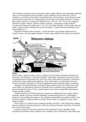 Gamtos apsauga 19 puslapis