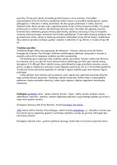 Gamtos apsauga 20 puslapis