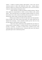 Giddenso struktūracijos teorija 4 puslapis