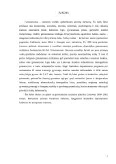 Gimstamumas Lietuvoje 1990-2002 metais 2 puslapis