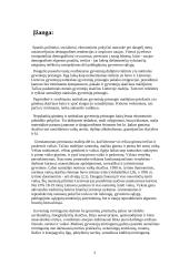 Gimstamumas, mirtingumas ir natūralus gyventojų prieaugis įvairiose pasaulio šalyse 2 puslapis