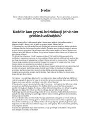 Gyvenimas, jo prasmė, rizika ir savižudybė 2 puslapis