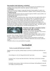 Gyvenimas, jo prasmė, rizika ir savižudybė 3 puslapis