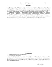 Gyvenimo tikslas ir prasmė per filosofijos prizmę 2 puslapis