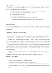 Gyventojų evakavimas esant cheminei taršai 6 puslapis