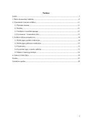 Gyventojų gerbūvis 2 puslapis